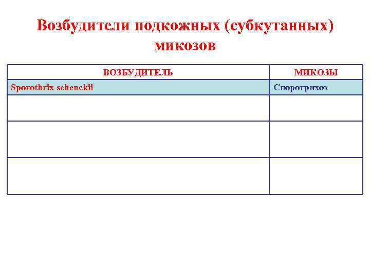  Возбудители подкожных (субкутанных)     микозов    ВОЗБУДИТЕЛЬ 