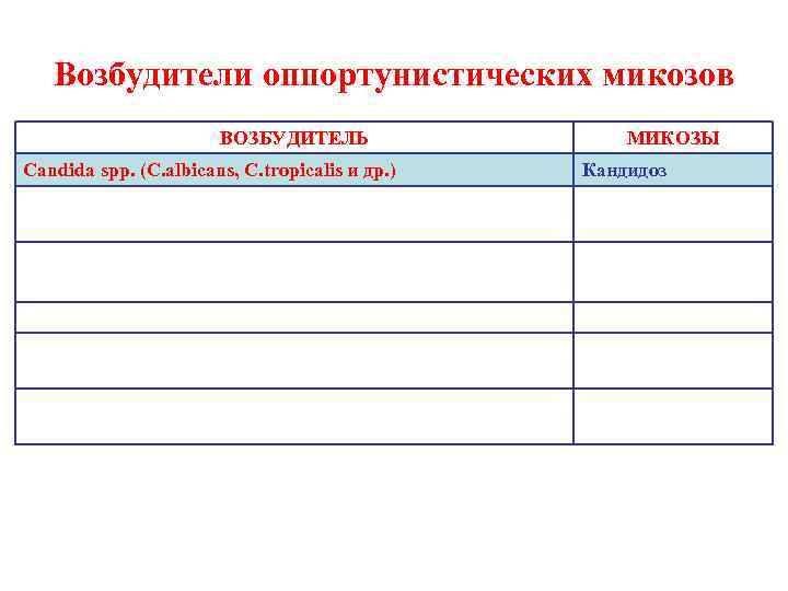   Возбудители оппортунистических микозов    ВОЗБУДИТЕЛЬ   МИКОЗЫ Candida spp.