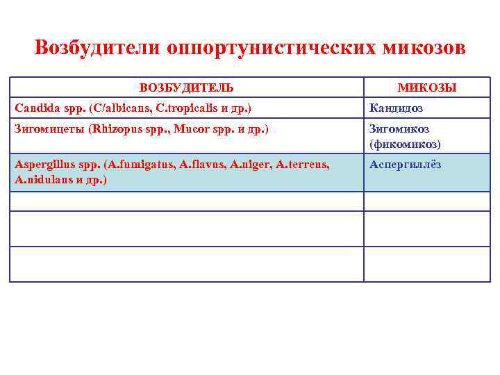   Возбудители оппортунистических микозов    ВОЗБУДИТЕЛЬ     