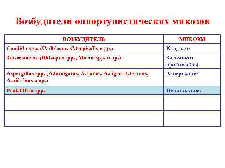   Возбудители оппортунистических микозов    ВОЗБУДИТЕЛЬ     