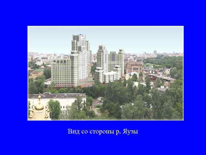 Вид со стороны р. Яузы 