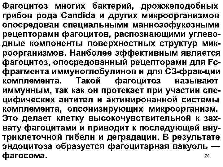 Фагоцитоз многих бактерий, дрожжеподобных грибов рода Candida и других микроорганизмов опосредован специальными маннозофукозными рецепторами
