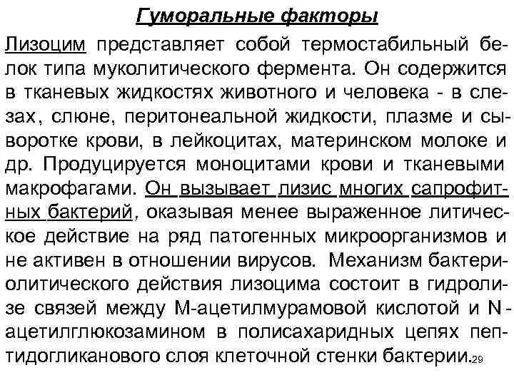    Гуморальные факторы Лизоцим представляет собой термостабильный бе лок типа муколитического фермента.