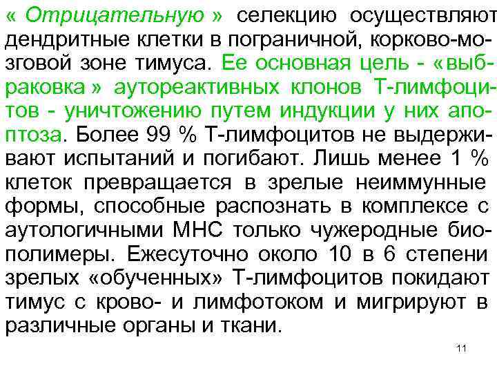 « Отрицательную » селекцию осуществляют дендритные клетки в пограничной, корково-мо- зговой зоне тимуса.
