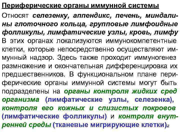 Периферические органы иммунной системы Относят селезенку, аппендикс, печень, миндали- ны глоточного кольца, групповые лимфоидные