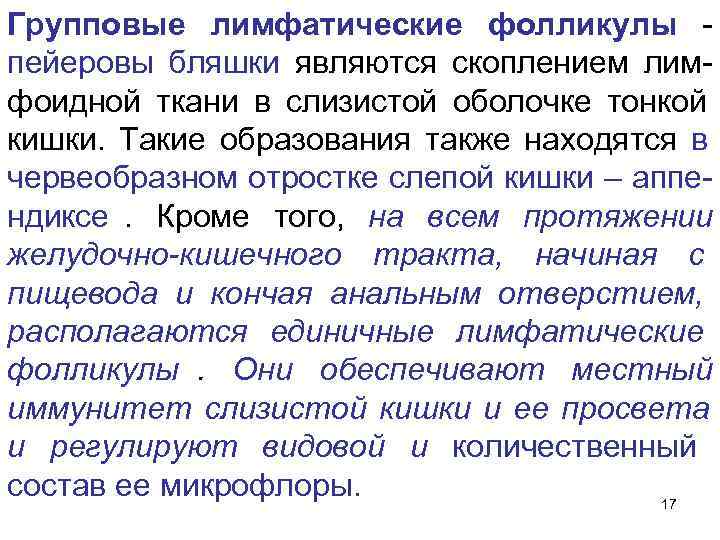 Групповые лимфатические фолликулы - пейеровы бляшки являются скоплением лим- фоидной ткани в слизистой оболочке