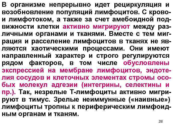 В организме непрерывно идет рециркуляция и возобновление популяций лимфоцитов. С крово- и лимфотоком, а