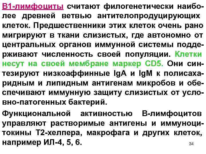 В 1 -лимфоциты считают филогенетически наибо- лее древней ветвью антителопродуцирующих клеток. Предшественники этих клеток
