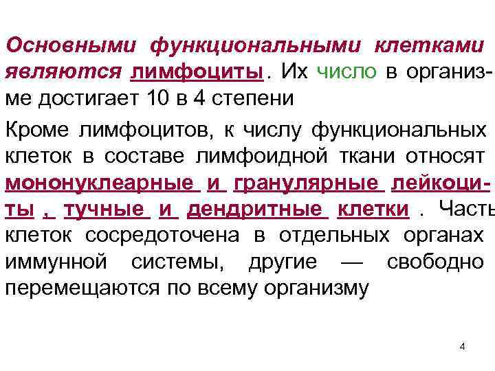 Основными функциональными клетками являются лимфоциты. Их число в организ- ме достигает 10 в 4