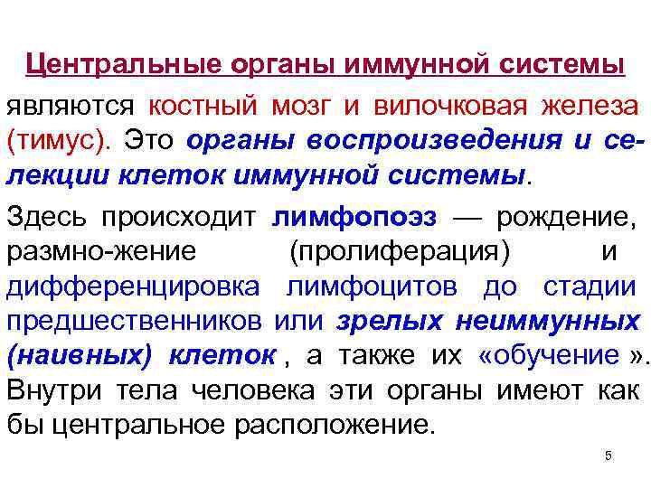  Центральные органы иммунной системы являются костный мозг и вилочковая железа (тимус). Это органы
