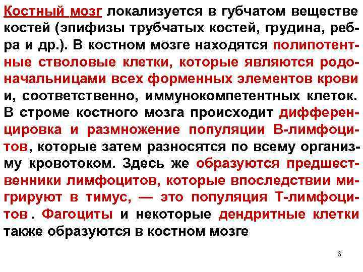 Костный мозг локализуется в губчатом веществе костей (эпифизы трубчатых костей, грудина, реб- ра и