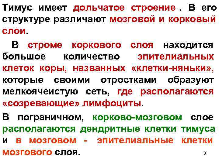 Тимус имеет дольчатое строение. В его структуре различают мозговой и корковый слои.  В