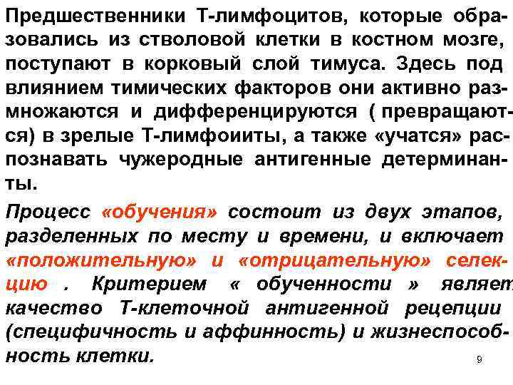 Предшественники Т-лимфоцитов, которые обра- зовались из стволовой клетки в костном мозге, поступают в корковый