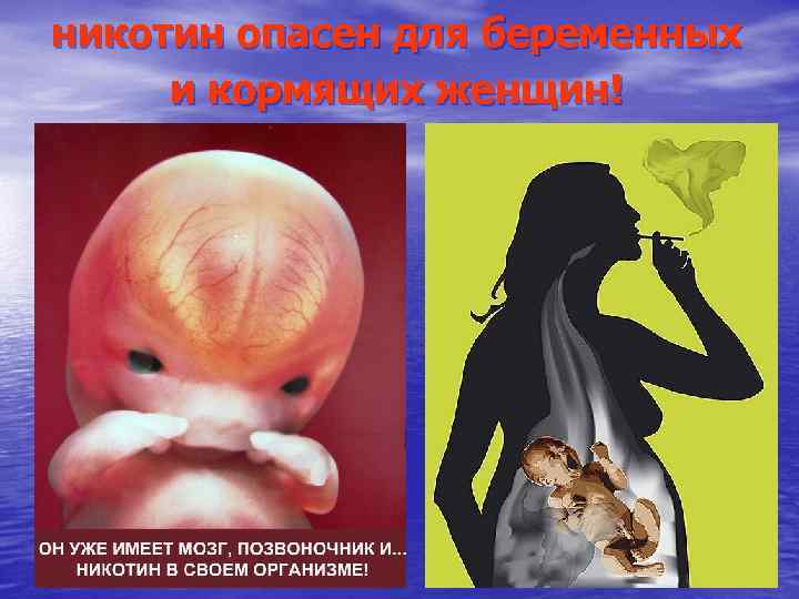 никотин опасен для беременных и кормящих женщин! 
