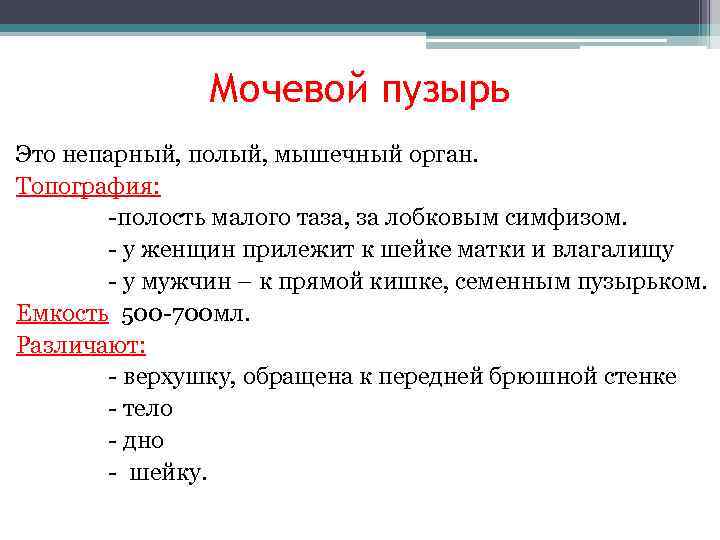     Мочевой пузырь Это непарный, полый, мышечный орган. Топография:  