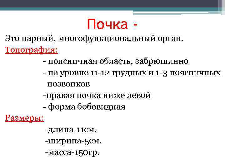     Почка - Это парный, многофункциональный орган. Топография:   -