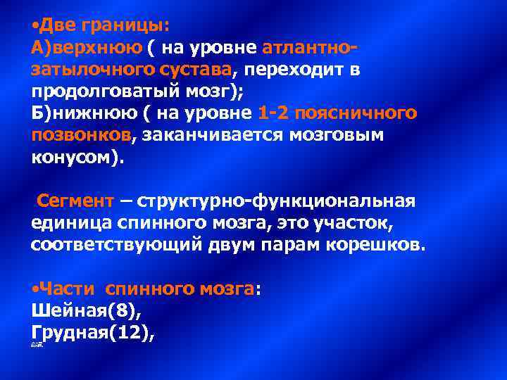  • Две границы: А)верхнюю ( на уровне атлантно- затылочного сустава, переходит в продолговатый
