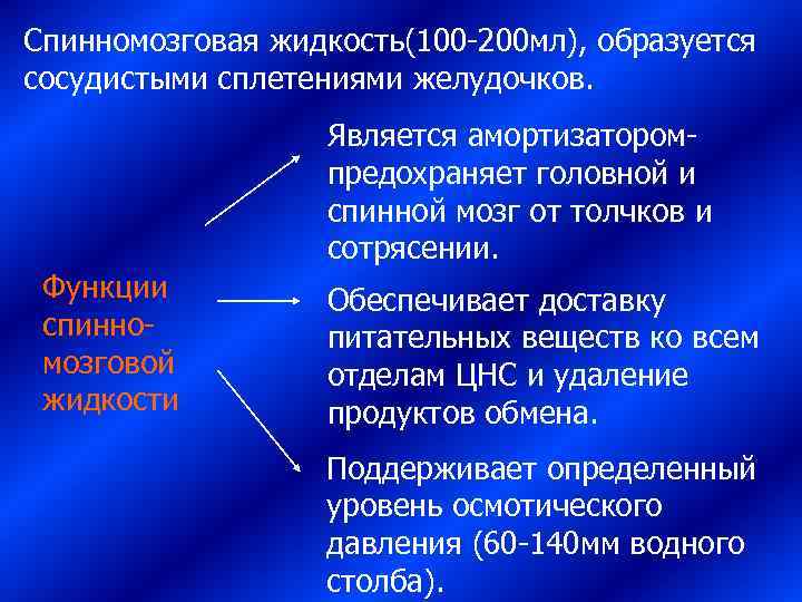 Спинномозговая жидкость(100 -200 мл), образуется сосудистыми сплетениями желудочков.     Является амортизатором-
