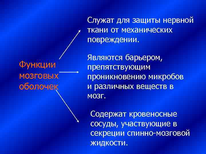   Служат для защиты нервной   ткани от механических   повреждении.