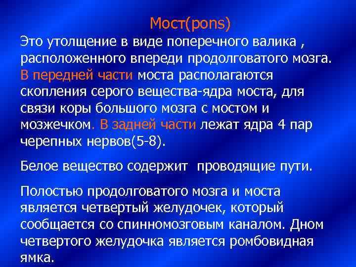      Мост(pons) Это утолщение в виде поперечного валика , 