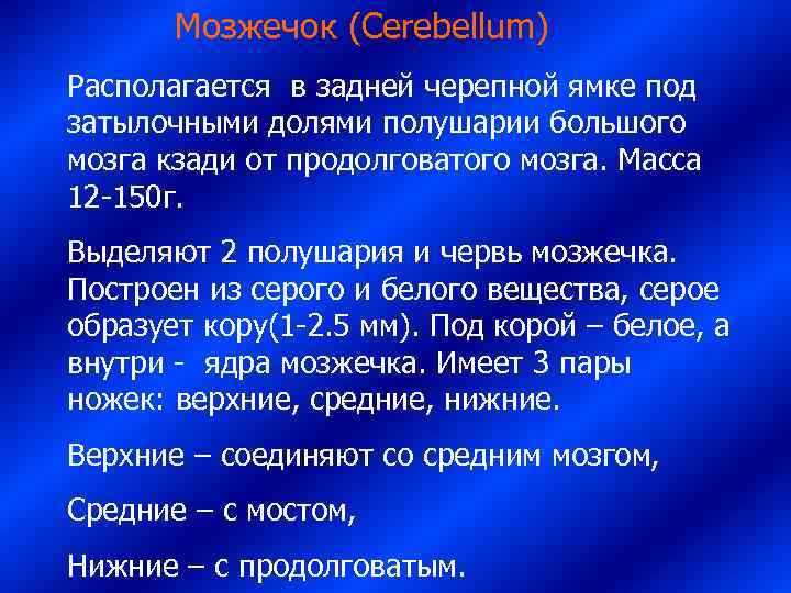   Мозжечок (Cerebellum) Располагается в задней черепной ямке под затылочными долями полушарии большого