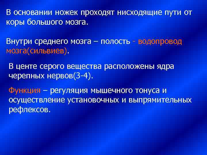 В основании ножек проходят нисходящие пути от коры большого мозга.  Внутри среднего мозга