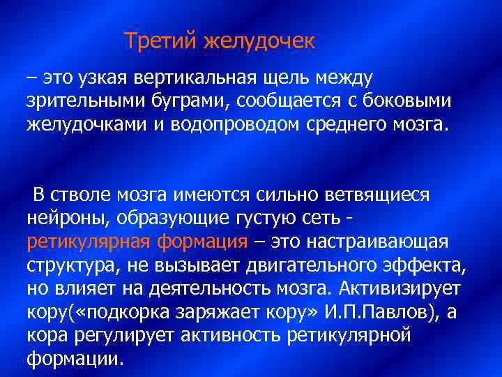     Третий желудочек – это узкая вертикальная щель между зрительными буграми,