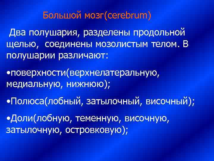    Большой мозг(cerebrum)  Два полушария, разделены продольной щелью,  соединены мозолистым