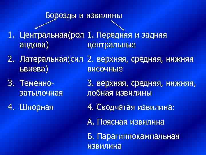    Борозды и извилины 1. Центральная(рол 1. Передняя и задняя андова) 
