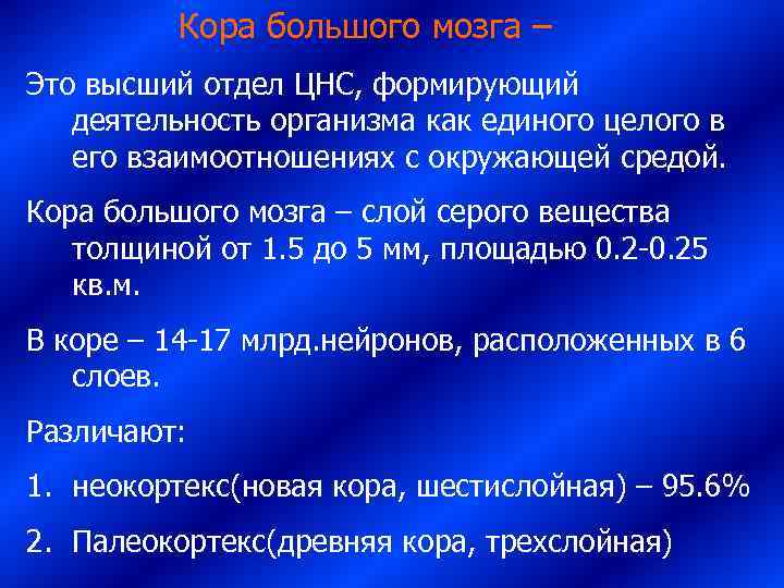     Кора большого мозга – Это высший отдел ЦНС, формирующий деятельность