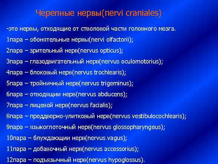    Черепные нервы(nervi craniales) -это нервы, отходящие от стволовой части головного мозга.