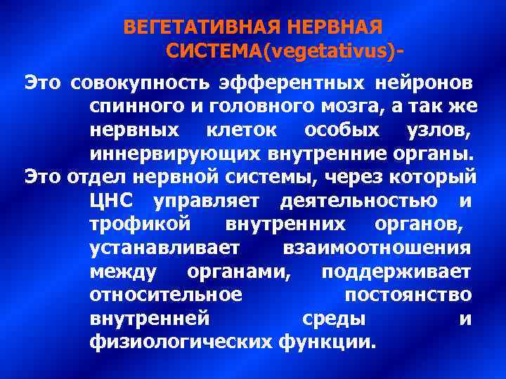    ВЕГЕТАТИВНАЯ НЕРВНАЯ   СИСТЕМА(vegetativus)- Это совокупность эфферентных нейронов  спинного