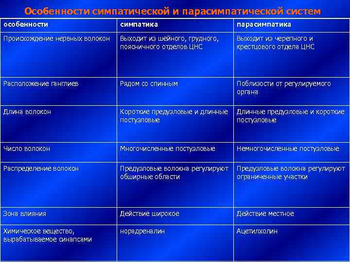  Особенности симпатической и парасимпатической систем      особенности  