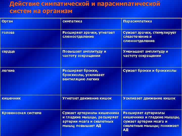   Действие симпатической и парасимпатической  систем на организм Орган   симпатика
