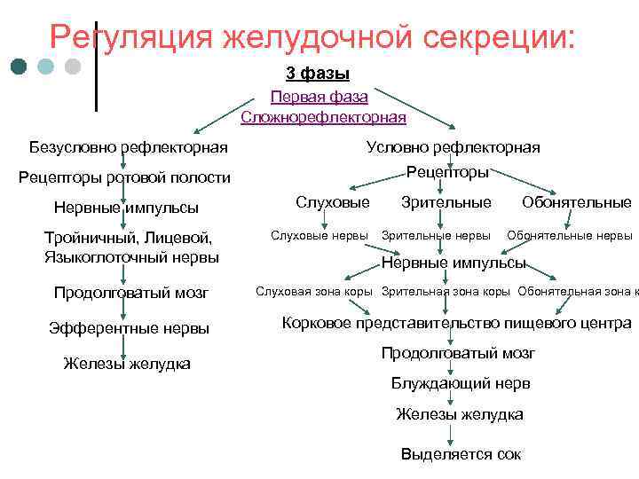 Методы исследования желудочной секреции схема