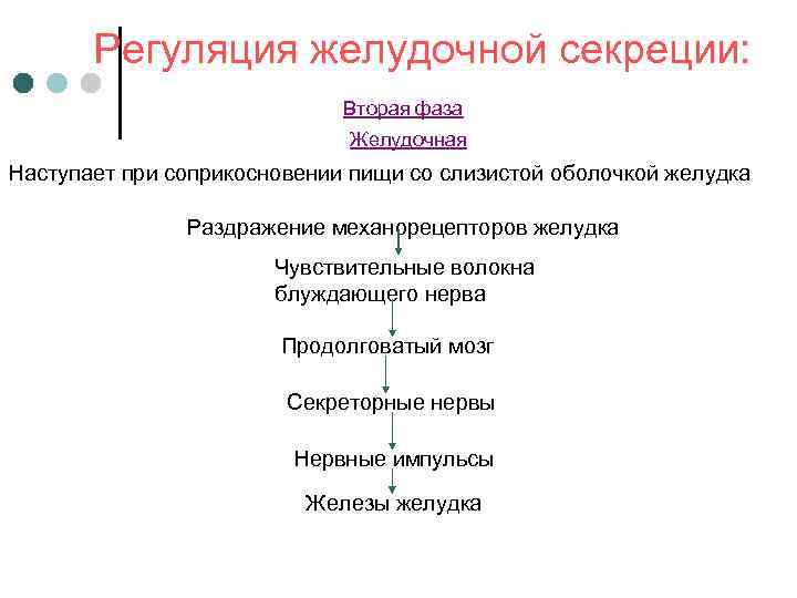 Схема желудочной фазы регуляции желудочной секреции