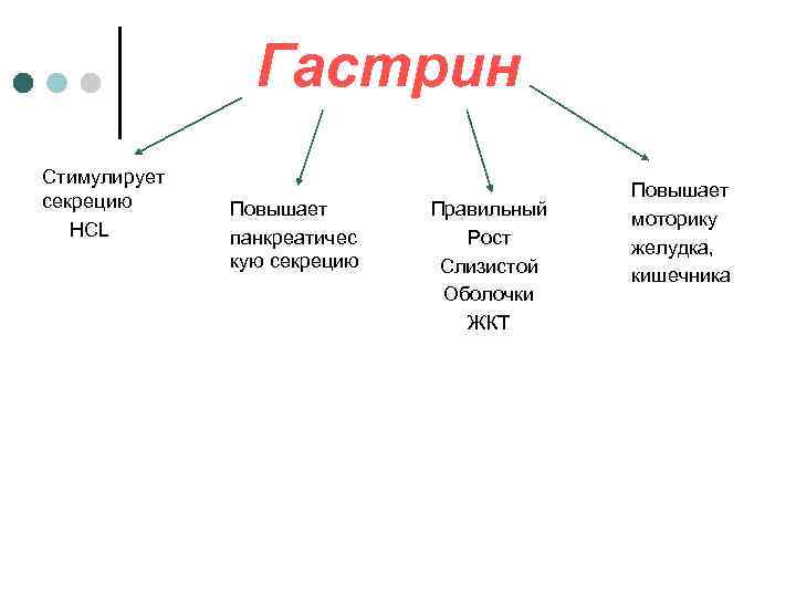     Гастрин Стимулирует    Повышает секрецию Повышает  Правильный
