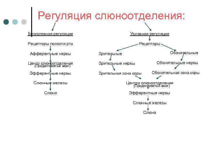 Вставь пропущенные термины на схеме регуляция слюноотделения