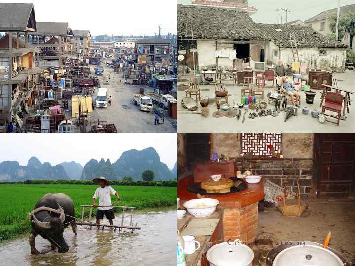 Сельское хозяйство n  С/хоз-во: 313 млн. чел. , ½ мировой пашни n 