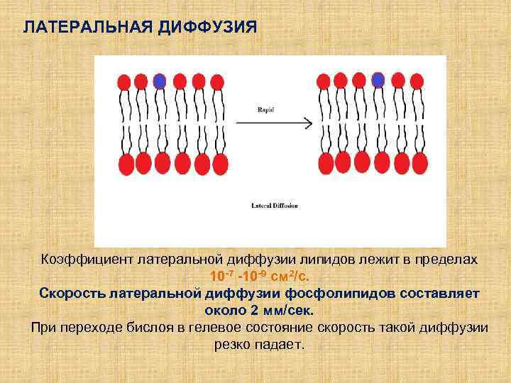 Способность к диффузии проектов