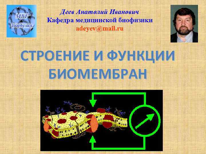  Деев Анатолий Иванович  Кафедра медицинской биофизики  adeyev@mail. ru  СТРОЕНИЕ И
