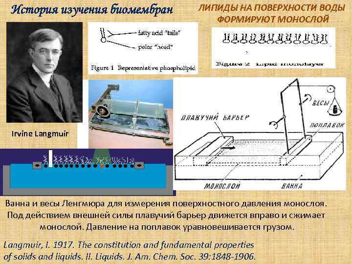  История изучения биомембран    ЛИПИДЫ НА ПОВЕРХНОСТИ ВОДЫ   