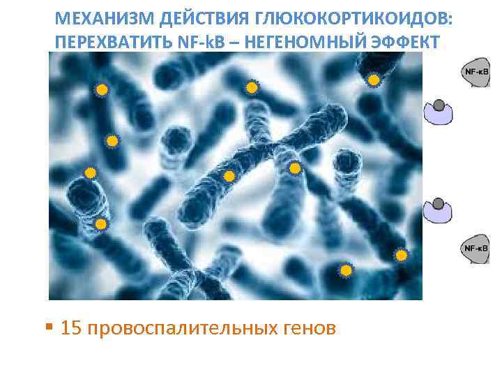  МЕХАНИЗМ ДЕЙСТВИЯ ГЛЮКОКОРТИКОИДОВ:  ПЕРЕХВАТИТЬ NF-k. B – НЕГЕНОМНЫЙ ЭФФЕКТ § 15 провоспалительных