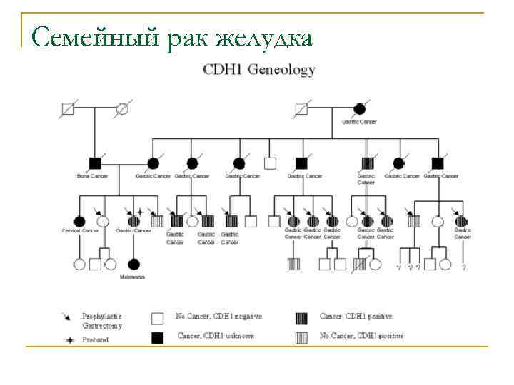 Семейный рак желудка 