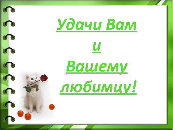 Удачи Вам и Вашему любимцу! Удачи Вам и Вашему любимцу!