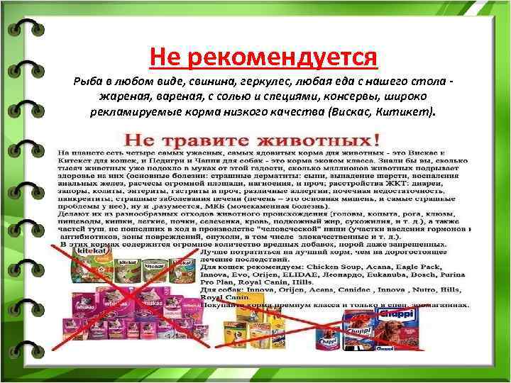 Не рекомендуется Рыба в любом виде, свинина, геркулес, любая еда с нашего Не рекомендуется Рыба в любом виде, свинина, геркулес, любая еда с нашего