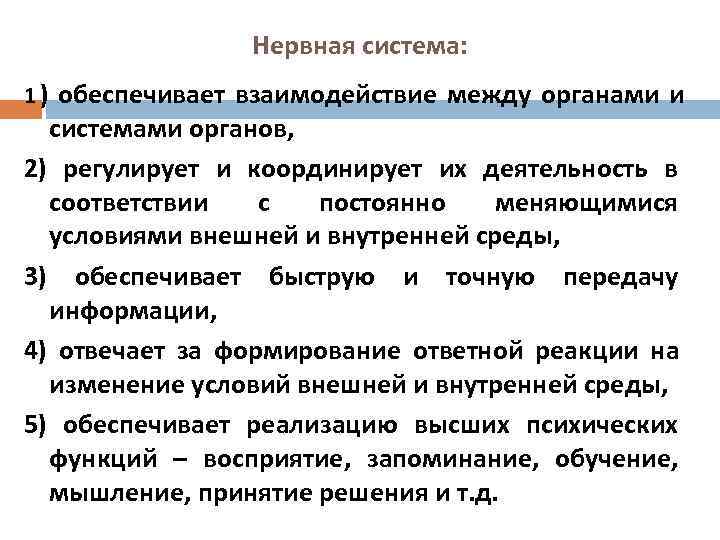     Нервная система: 1 ) обеспечивает взаимодействие между органами и 