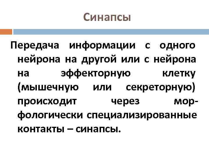   Синапсы Передача информации с одного нейрона на другой или с нейрона на