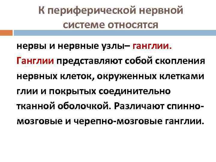   К периферической нервной   системе относятся нервы и нервные узлы– ганглии.