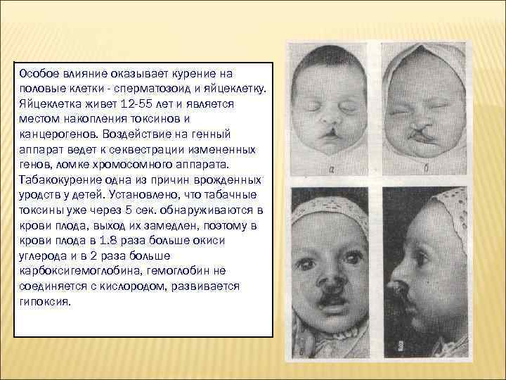 Особое влияние оказывает курение на половые клетки - сперматозоид и яйцеклетку. Яйцеклетка живет 12